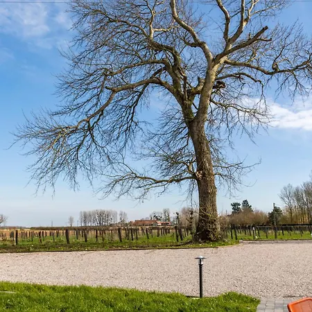 Chez Watersy Bed & Breakfast Belle-et-Houllefort